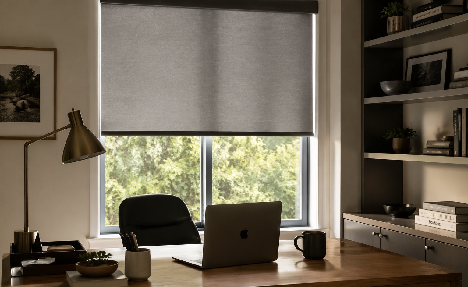Roller Shades in a Home Office